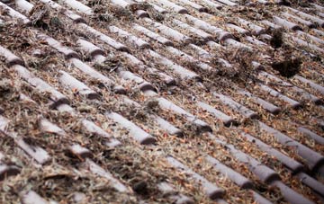 Shaldon roof cleaning companies